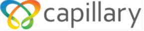 Capillary Technologies India